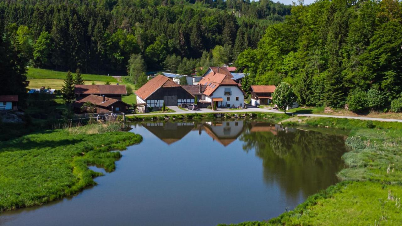Naturidyll Kollnbergmuehle Fürstenstein Exterior foto